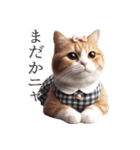 服を着た猫 Cats in Clothes（個別スタンプ：40）