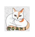 毎日気持ちを伝えるかわいい猫（個別スタンプ：23）