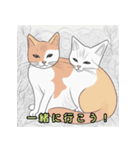 毎日気持ちを伝えるかわいい猫（個別スタンプ：24）