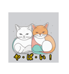 毎日気持ちを伝えるかわいい猫（個別スタンプ：35）