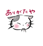 funny cat ほっこり猫（個別スタンプ：11）