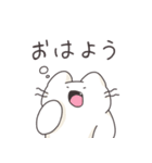 【あいうえおねこ】（個別スタンプ：1）