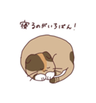 きっと使いやすいゆるい猫スタンプ（個別スタンプ：13）