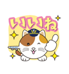 またたびくん（T-CAT）（個別スタンプ：12）