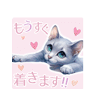 ロシアンブルー・猫・Russian blue A（個別スタンプ：36）