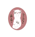 にゃんこ大集合  Cats Meeting（個別スタンプ：9）