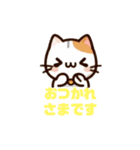 ねここねこ②毎日・敬語・あいさつ絵文字（個別スタンプ：9）