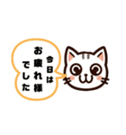 ねここねこ②毎日・敬語・あいさつ絵文字（個別スタンプ：11）