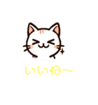 ねここねこ②毎日・敬語・あいさつ絵文字（個別スタンプ：19）