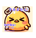 丸い可愛いひよこ♥韓国語♥翻訳付スタンプ（個別スタンプ：10）