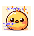 丸い可愛いひよこ♥韓国語♥翻訳付スタンプ（個別スタンプ：15）