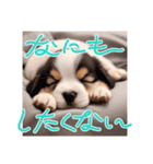 仔犬の一言！！（個別スタンプ：7）