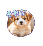 仔犬の一言！！（個別スタンプ：15）