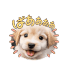 仔犬の一言！！（個別スタンプ：18）