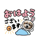 シープーの家族②（個別スタンプ：1）