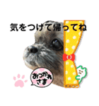 シープーの家族②（個別スタンプ：7）