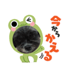 シープーの家族②（個別スタンプ：8）