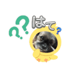 シープーの家族②（個別スタンプ：14）