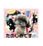 シープーの家族②（個別スタンプ：19）