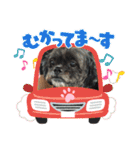 シープーの家族②（個別スタンプ：23）