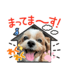シープーの家族②（個別スタンプ：24）