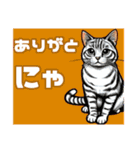 にゃ！スタンプ 第一弾 猫（個別スタンプ：6）