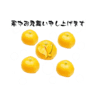 寒中お見舞い10（個別スタンプ：6）