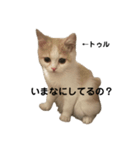トゥル君スタンプ（個別スタンプ：6）