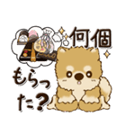 柴犬・茶色い犬『バレンタインデー』（個別スタンプ：27）