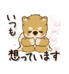 柴犬・茶色い犬『バレンタインデー』（個別スタンプ：39）