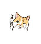 ねこまみれ（ゆるい敬語・多め）（個別スタンプ：1）