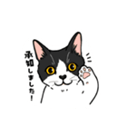 ねこまみれ（ゆるい敬語・多め）（個別スタンプ：2）