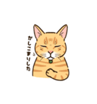 ねこまみれ（ゆるい敬語・多め）（個別スタンプ：7）