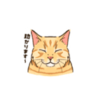 ねこまみれ（ゆるい敬語・多め）（個別スタンプ：9）