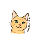 ねこまみれ（ゆるい敬語・多め）（個別スタンプ：23）