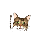 ねこまみれ（ゆるい敬語・多め）（個別スタンプ：25）