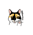 ねこまみれ（ゆるい敬語・多め）（個別スタンプ：26）