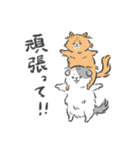 猫様と下僕（個別スタンプ：16）