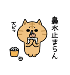 茶トラ猫【体調報告】（個別スタンプ：11）