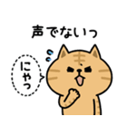 茶トラ猫【体調報告】（個別スタンプ：14）