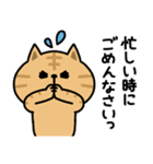 茶トラ猫【体調報告】（個別スタンプ：16）