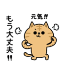 茶トラ猫【体調報告】（個別スタンプ：23）