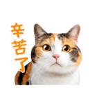 気持ちを伝える♡かわいい三毛猫（台湾版）（個別スタンプ：4）