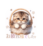 スコティッシュフォールド猫Scottishfold A（個別スタンプ：6）