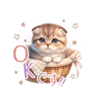 スコティッシュフォールド猫Scottishfold A（個別スタンプ：9）