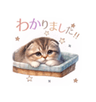 スコティッシュフォールド猫Scottishfold A（個別スタンプ：12）