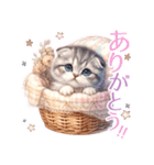 スコティッシュフォールド猫Scottishfold A（個別スタンプ：13）