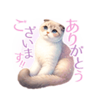 スコティッシュフォールド猫Scottishfold A（個別スタンプ：14）