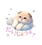 スコティッシュフォールド猫Scottishfold A（個別スタンプ：20）