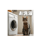 動く！主婦猫の日常（個別スタンプ：4）